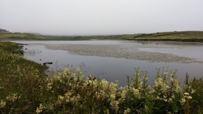 Small lake before the walk